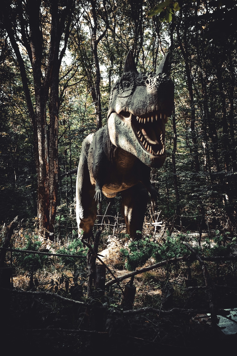 Dinosaurs